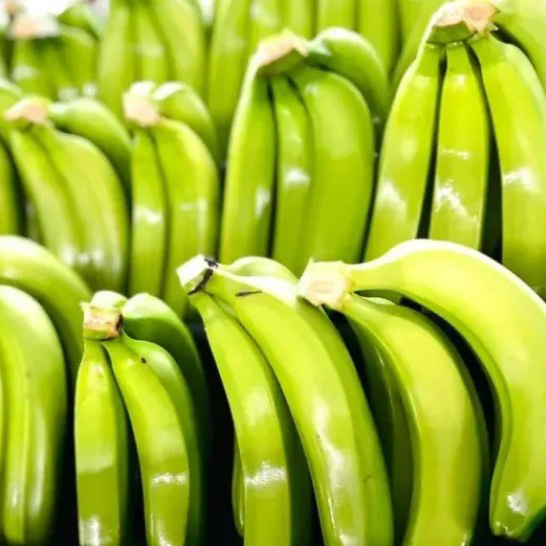 Chuối xuất khẩu được tuyển chọn từ các vùng trồng đạt tiêu chuẩn tại Việt Nam